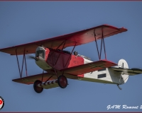 TSR Watermark - 0354
